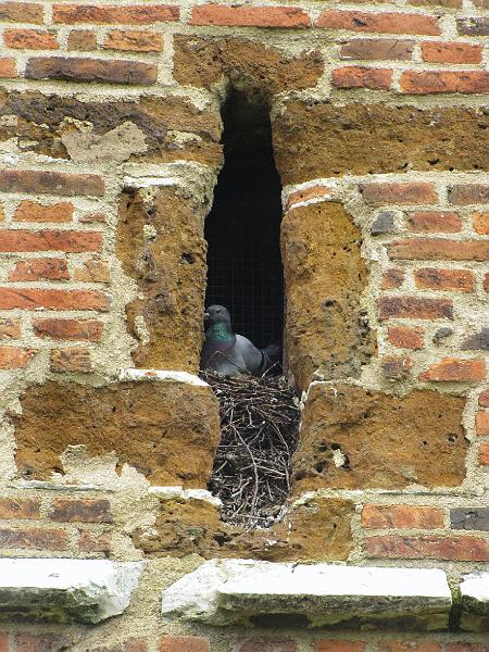 Britisch vs Italian op 26-5-2013 (74).JPG